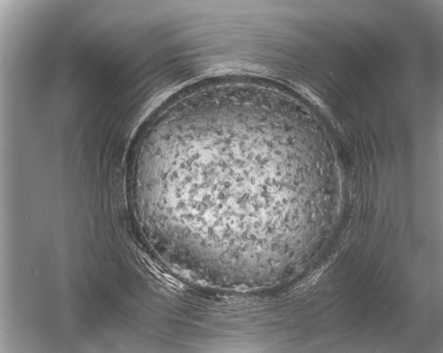 X0000060570877200511171629