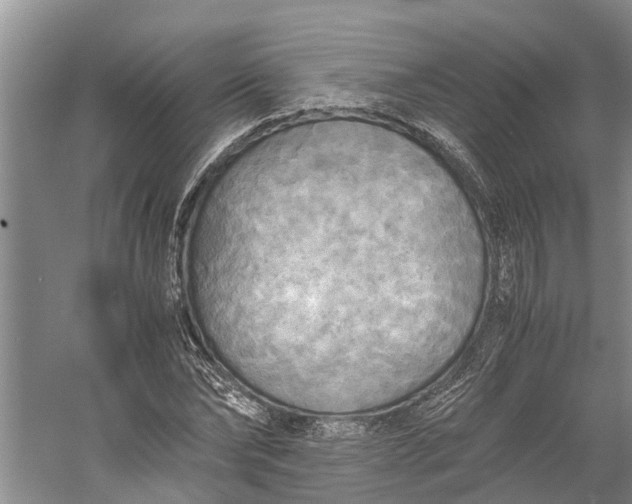 X0000060570878200511171629