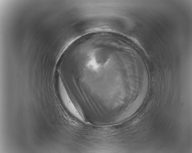 X0000060570879200511171629