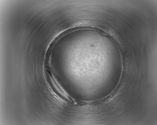 X0000060570880200511171628