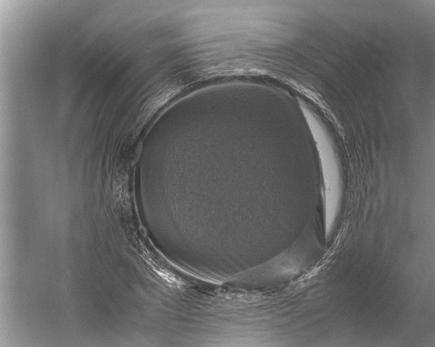 X0000060570881200511171628