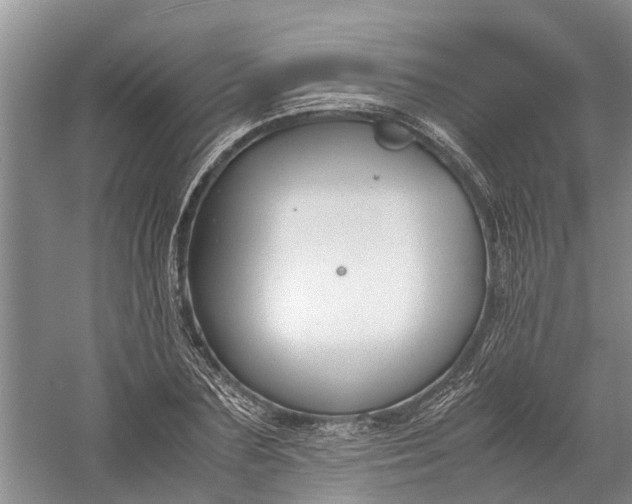 X0000060570883200511171628