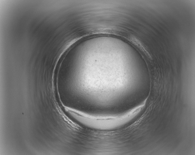 X0000060570884200511171628