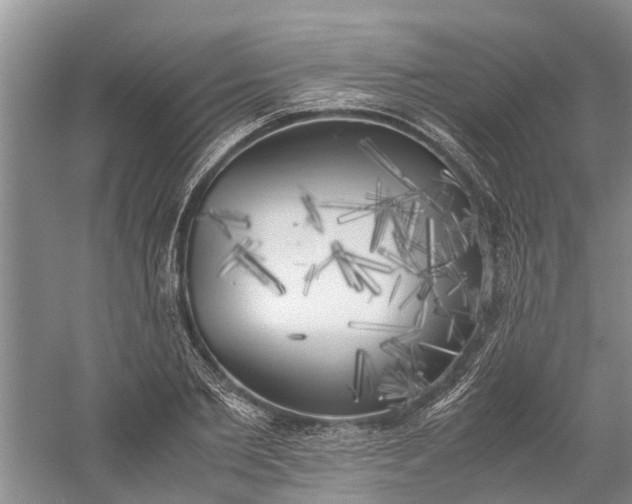 X0000060570885200511171628