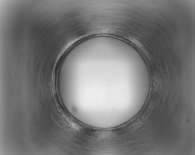 X0000060570886200511171628