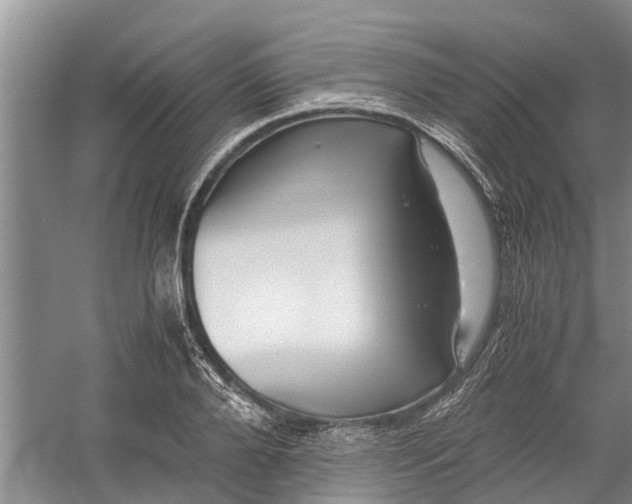 X0000060570888200511171628