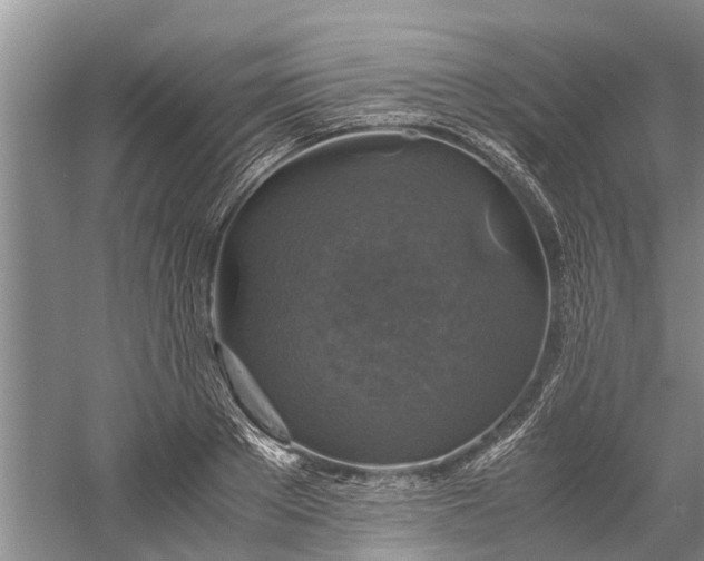 X0000060570889200511171628