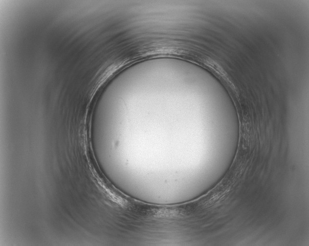 X0000060570890200511171628