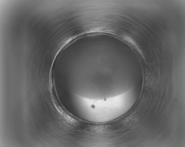 X0000060570892200511171628