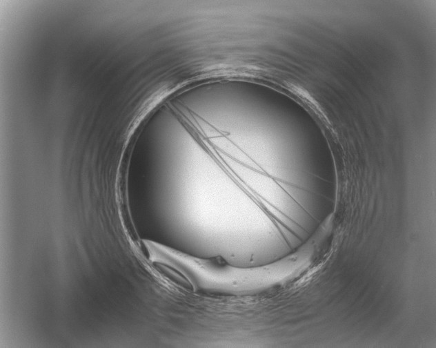 X0000060570893200511171628