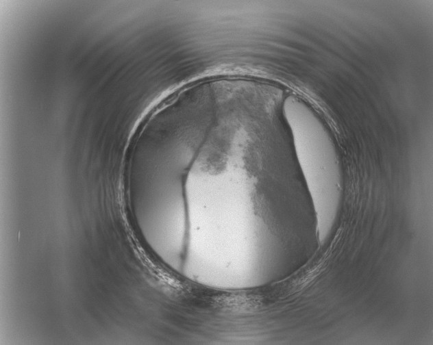 X0000060570896200511171628