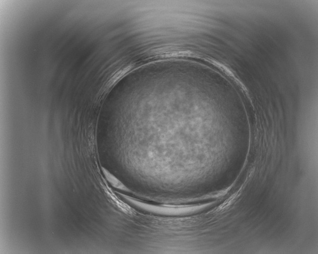 X0000060570897200511171628