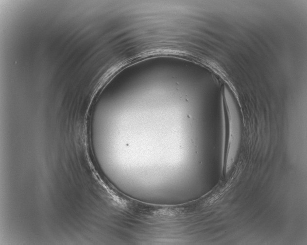 X0000060570898200511171628