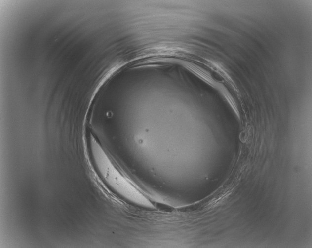 X0000060570899200511171628