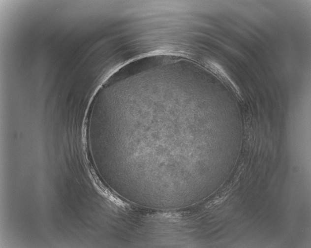 X0000060570900200511171628