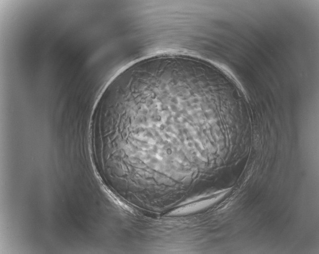 X0000060570903200511171628