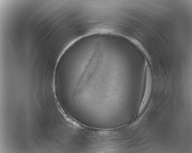 X0000060570904200511171628