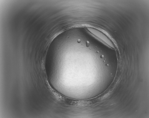 X0000060570905200511171628