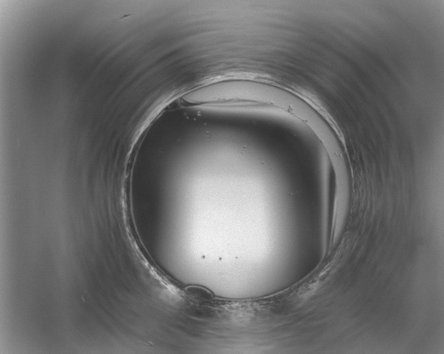 X0000060570906200511171628