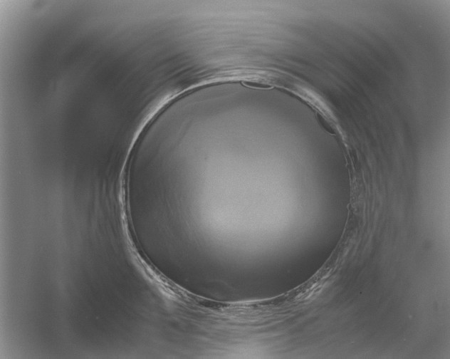 X0000060570907200511171628