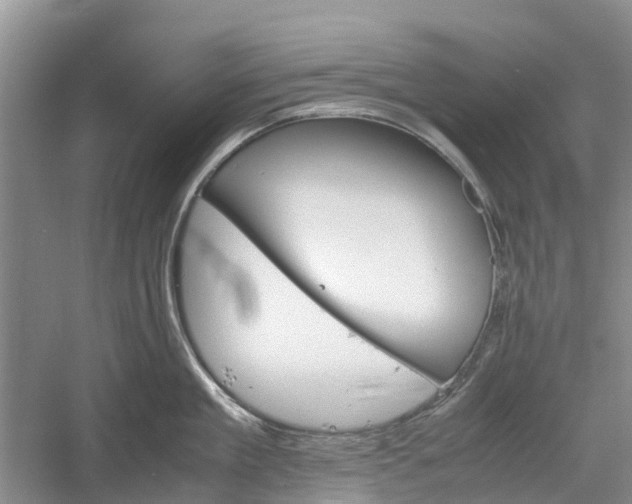 X0000060570909200511171628