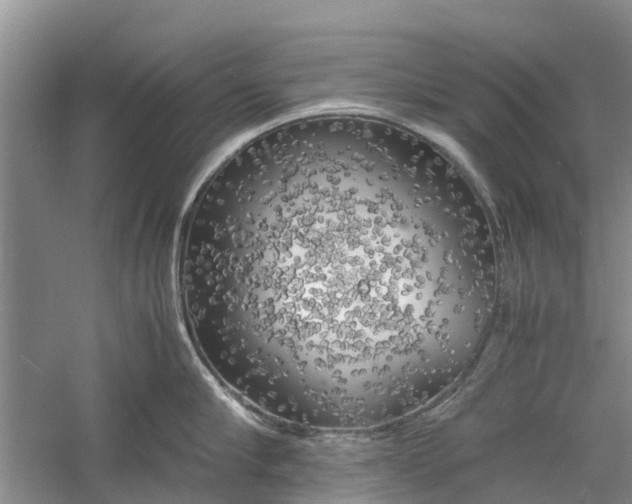 X0000060570910200511171628