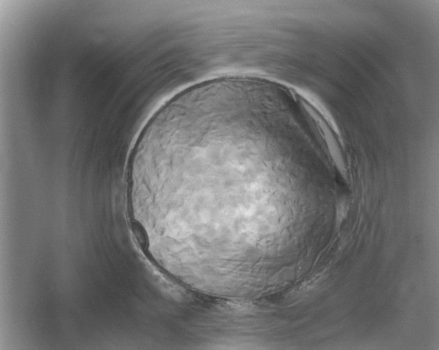 X0000060570911200511171628