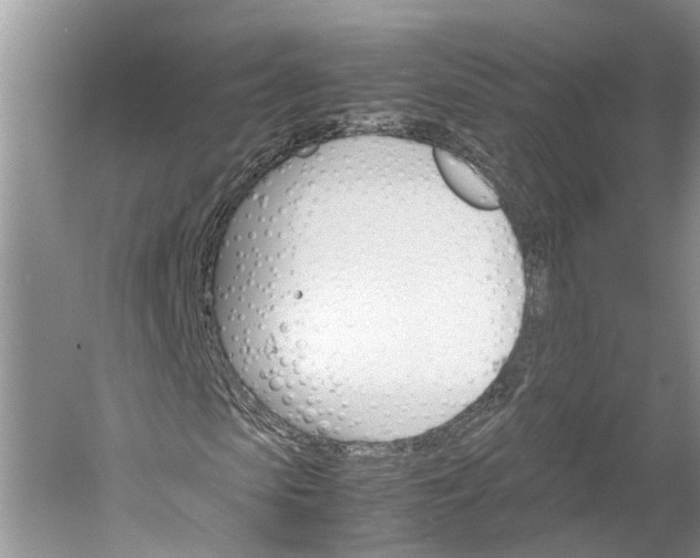 X0000060570913200511171627