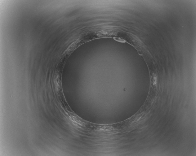 X0000060570915200511171627