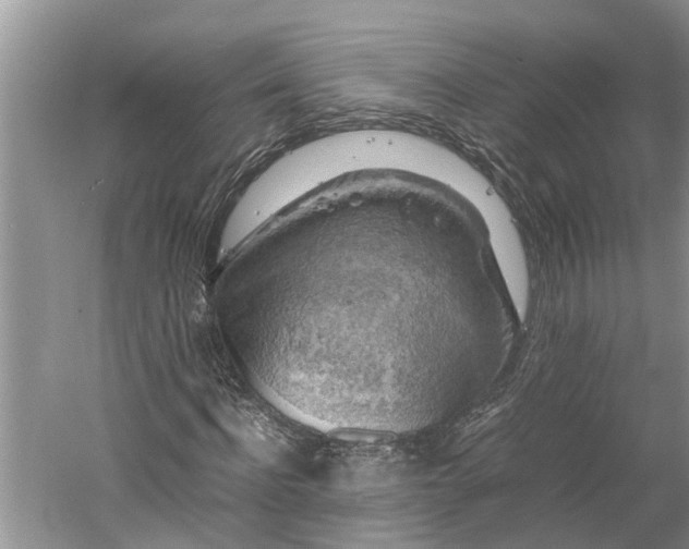 X0000060570916200511171627