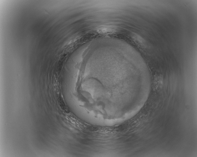 X0000060570917200511171627