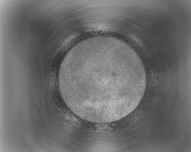 X0000060570918200511171627