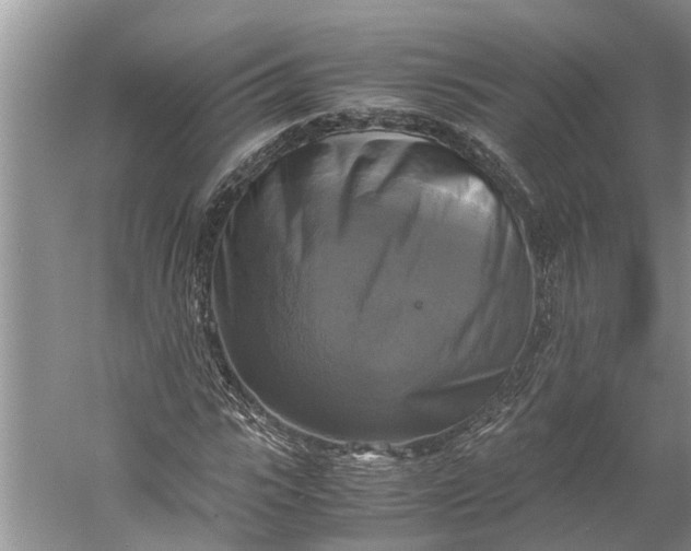 X0000060570919200511171627