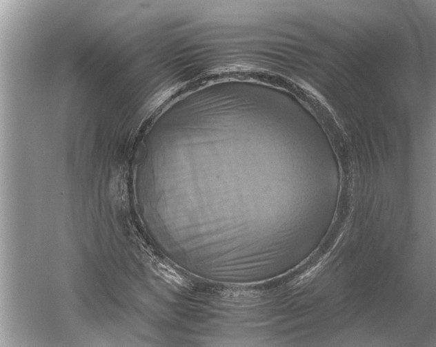 X0000060570921200511171627