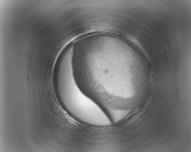 X0000060570924200511171627