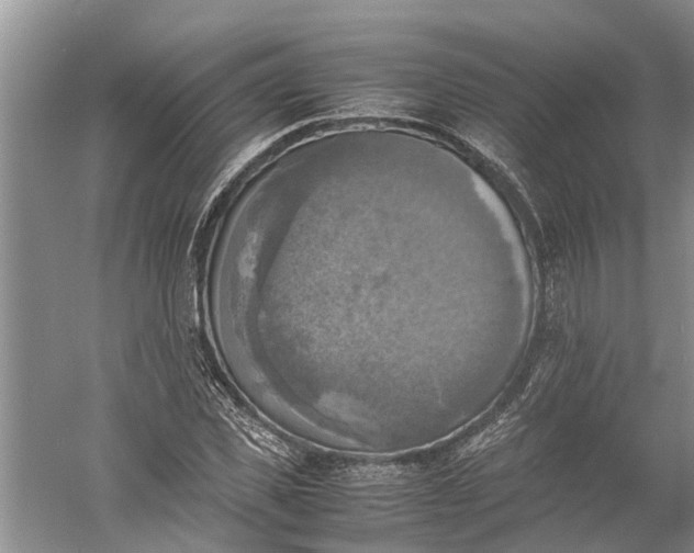 X0000060570925200511171627