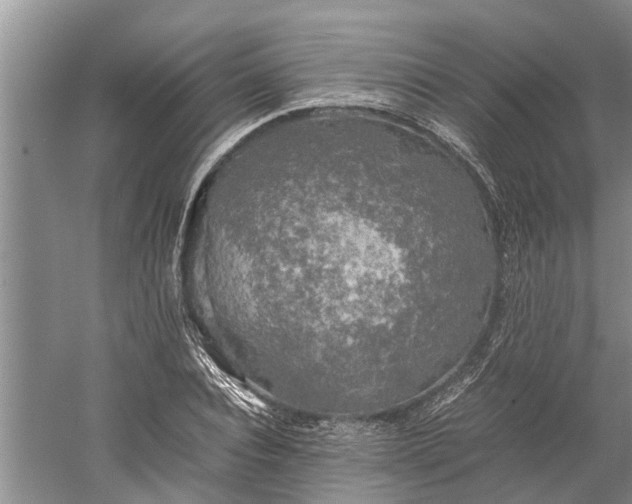 X0000060570928200511171627