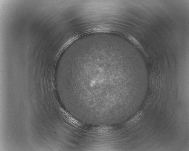 X0000060570930200511171627