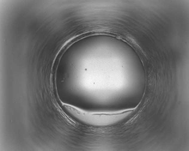 X0000060570932200511171627