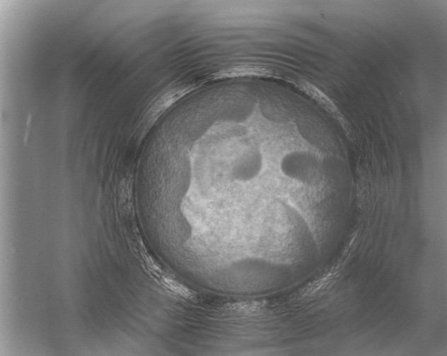 X0000060570937200511171628