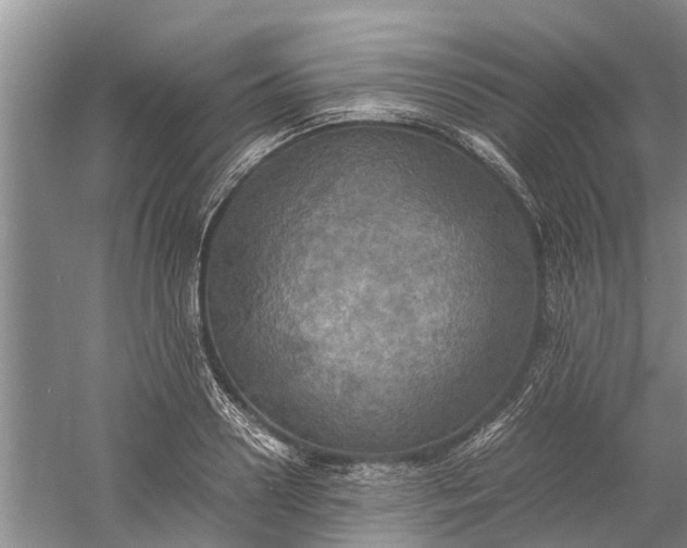 X0000060570938200511171628