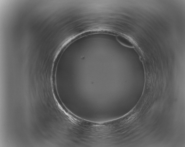 X0000060570943200511171628