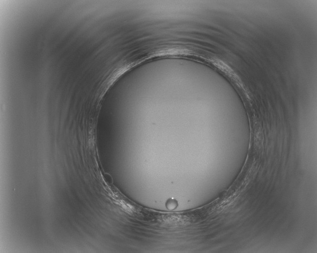 X0000060570945200511171628