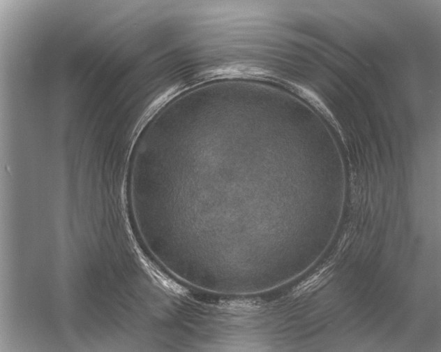 X0000060570946200511171628