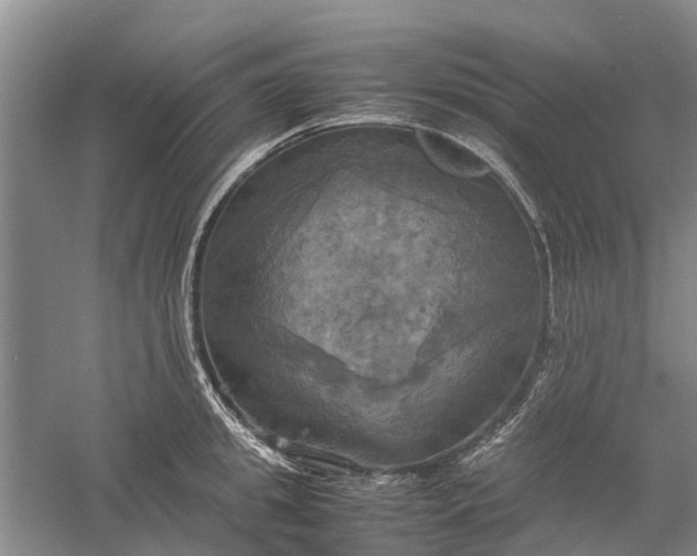 X0000060570949200511171628