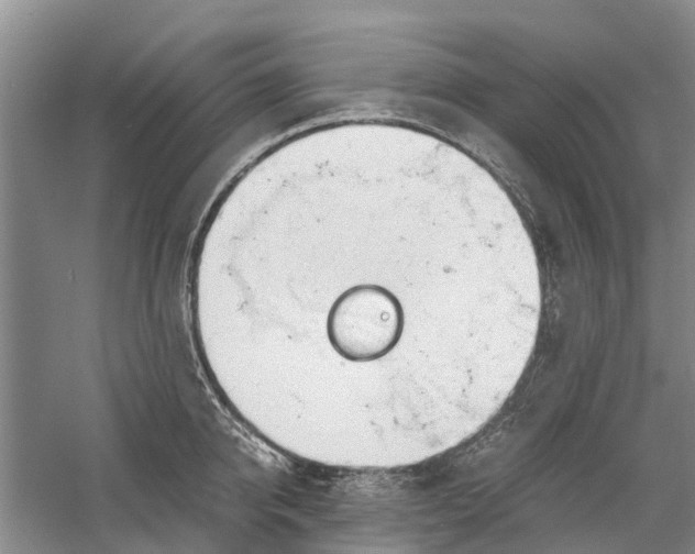 X0000060570950200511171628