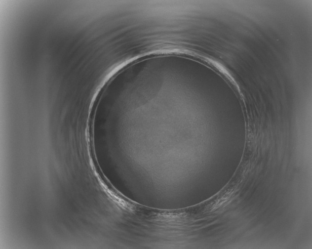 X0000060570951200511171628