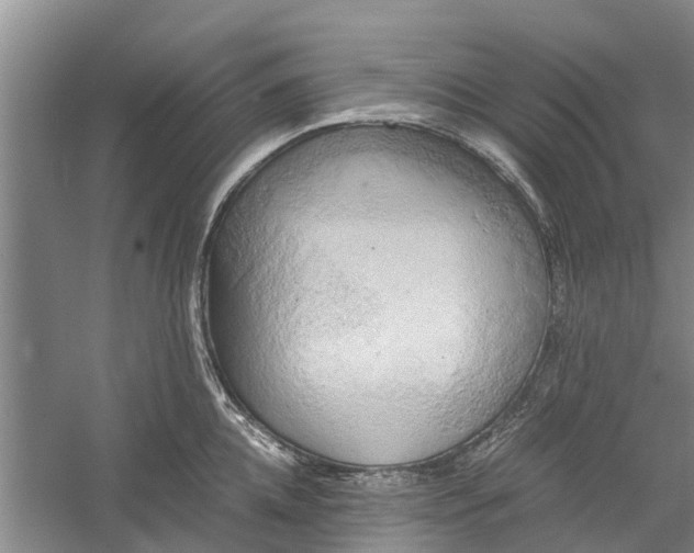 X0000060570952200511171628