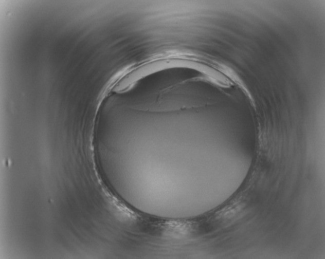 X0000060570954200511171628