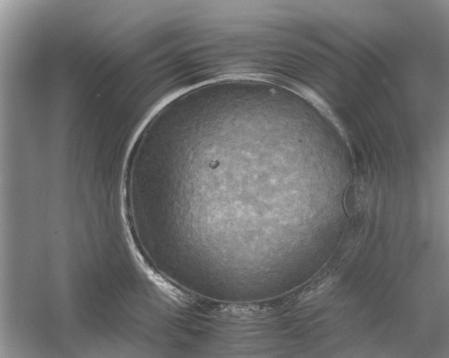 X0000060570955200511171628